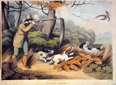Jakt på fasaner i England. 1800-talls gravering. Gien, jaktmuseum av Unknown artist