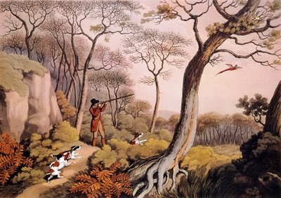 Jakt på fasaner i England. 1800-talls gravering. Gien, jaktmuseum av Unknown artist