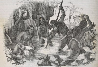 Indianere fra øya Hispaniola panorerer etter gull av Unknown artist