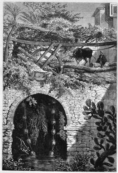 Vanning i Egypt: en okse roterer et hjul rundt som er pakket bøtter. Gravering i "" Le Monde Illustré"" nr. 1313 av 27. mai 1882. av Unknown artist
