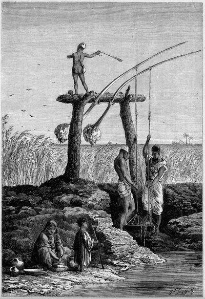 Vanning i Egypt: chadoufs (eller shadoufs) på bredden av Nilen. Gravering i "" Le Monde Illustré"" nr. 1313 av 27. mai 1882. av Unknown artist