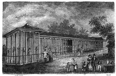 Jardin des Plantes in Paris in 1861: falconry. av Unknown artist