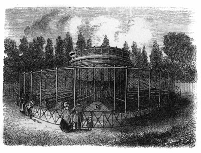 Jardin des Plantes i Paris i 1861: fasanderi. av Unknown artist