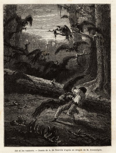 Job (reisekamerat til redaktøren), angrepet av gribber. Gravering for å illustrere historien Quatre mois en Florida, av M. Pousselgue, i 1851-1852, publisert i "" le tour du monde", under ledelse av D