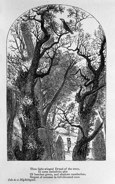 John Keats: Ode til en nattergal av Unknown artist