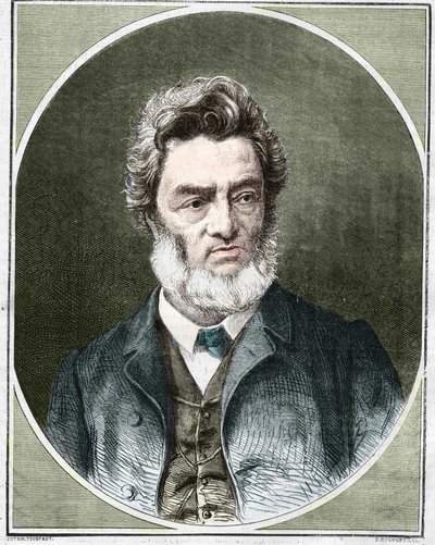 Jules Favre (1809-1880), French politician and lawyer. av Unknown artist