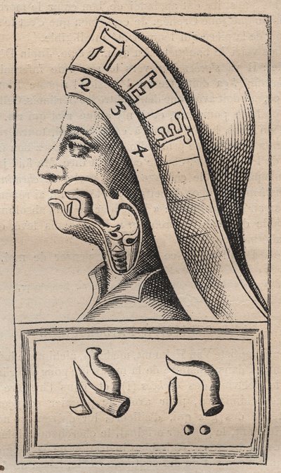 Kabbalah - Kabbalale - Illustrasjon fra: "The Alphabet of the Hebrew Alphabet" (The Alphabet of Nature) av Francis Mercury van Helmont (1618-1699) (Francois Mercure Van Helmont) - I dette verket hevdet van Helmont at hver lett av Unknown artist