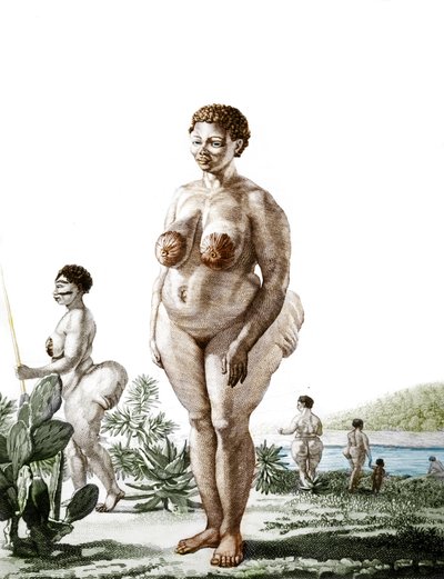 La Venus Hottentote, kvinne av rasen Bochiman (The Hottentot Venus,) gravering fra 1815. av Unknown artist