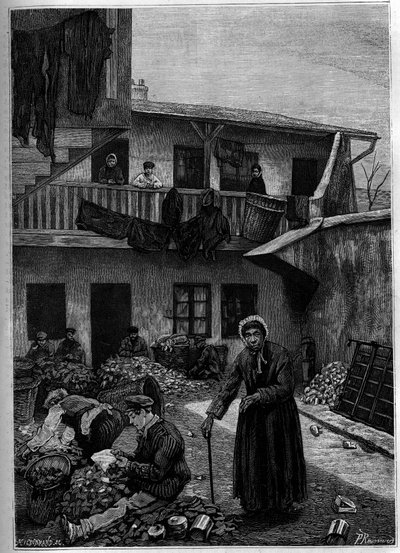 Rappplukkerne: triage fra naturen. Gravering i «The Journal of Youth»» av Unknown artist