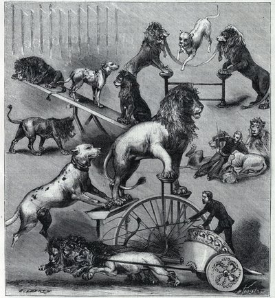 Les løver kjoler du Nouveau Cirque à Paris: forskjellige triks av et akrobatisk nummer med løver, temmere og hunder. Gravering i "" La Nature"" 1890. Privat samling. av Unknown artist