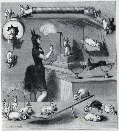 Les rabbits dresses du Nouveau Cirque i Paris: tukle i kaninkostyme som lærer dyret de forskjellige tallene. Gravering i "" La Nature"" 1890. Privat samling. av Unknown artist