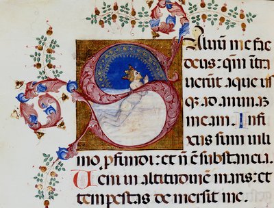Lettrine S: David in the Deep Light - Antiphonary fra 1400-tallet. Kommunal Bibl. av Rimini. av Unknown artist