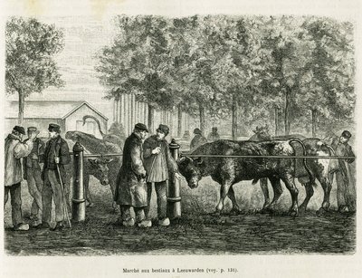 Husdyrvandring i Leeuwarden (Nederland). Gravering for å illustrere historien La Frise, basert på et forhold til en nederlandsk avis, i le tour du monde 1886, regissert av Edouard Charton (1807-1890), Hachette, Paris. av Unknown artist