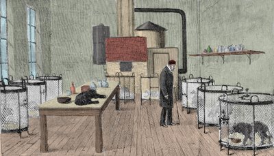 Louis Pasteur (1822-1895), fransk kjemiker og fysiker i laboratoriet hans i Paris. av Unknown artist