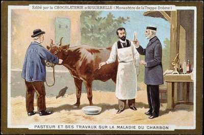 Louis Pasteur og hans arbeid med kullsykdom - reklameetikett for Chocolats d