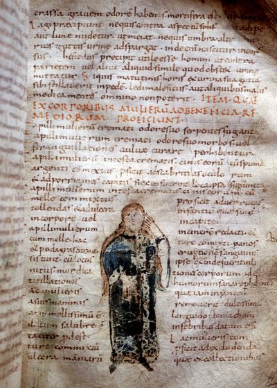 Manuskriptside fra "On the Simple Drugs" av Claude Galien (Klaudios Galenos eller Claudio Galeno eller Claudius Galenus eller Galen, v. 131 - v. 201). 8. eller 9. århundre. Styret i Lucca. av Unknown artist