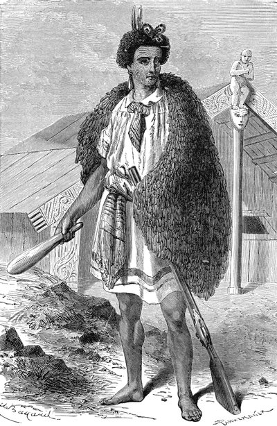 Maori-kokk i nærheten av AUCKLAND, New Zealand. Gravering 1885 av Unknown artist