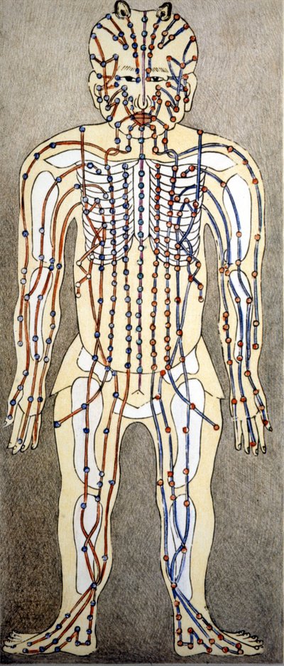 Medisin. Diagram av menneskekroppen fra en avhandling om akupunktur. Privat bibliotek, Milano. av Unknown artist