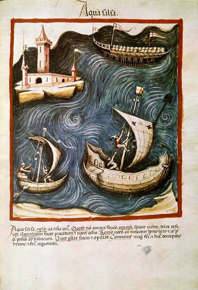 Medisinhandel: ""saltvann"" Side hentet fra ""Tacuinum sanitatis"" (Cod. ser. nov. 2644) Rundt 1400 Wien, Østerriksk nasjonalbibliotek av Unknown artist