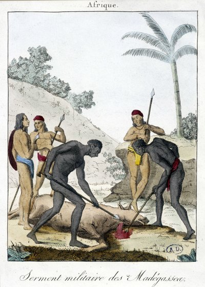 Militær ed av innbyggerne på Madagaskar (slaktet en okse) - grv. 1811 av Unknown artist