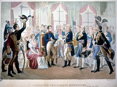 Napoleon ble utropt til keiser i 1804. av Unknown artist
