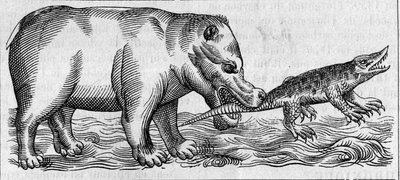 Nilen flodhest. (Etter Pierre Belon av Unknown artist