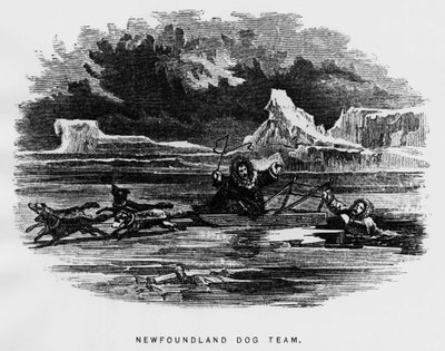 Nordpolen: sledehund svever en mann faller gjennom isen - Elisha Kent Kane, Arctic Explorations in the years 1853-1855, Philadelphia, Childs and Peterson av Unknown artist