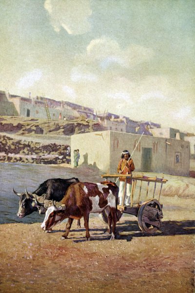 Gammel caretta (vogn) trukket av to okser, drevet av en indianer av Pueblo-folket i Laguna, New Mexico av Unknown artist