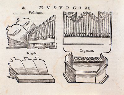 Organrepresentasjon. Side hentet fra Musurgia praktiske musikkhåndbok av Unknown artist