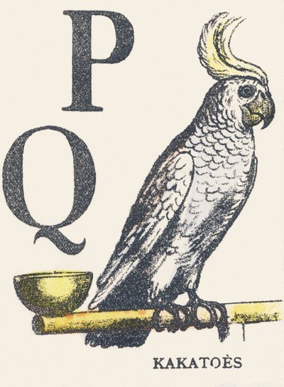 Q Q: kakaoer av Unknown artist