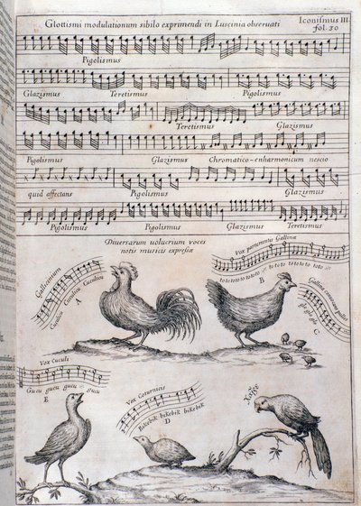 Side fra Musurgia (1650) av Unknown artist