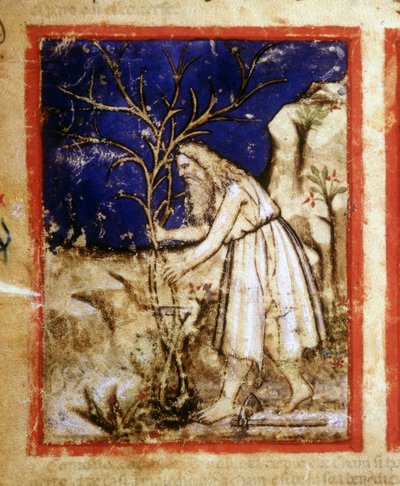 Side av et bibelmanuskript. Noahs planteliv. Miniatyrer fra Codex 212 (eller Padovano Codice eller Bible of Padua) 1390-1400 Rovigo, Accademia dei Concordi av Unknown artist