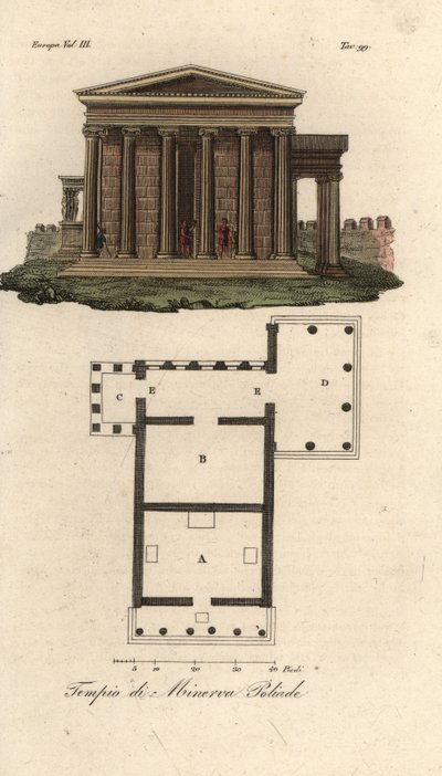 Plan og høyde av Erechtheion eller Erechtheum A, Temple of Neptun B, Temple of Minerva Polias med Porch of the Caryatids C, og Temple of Pandrosus eller Pandrosion D av Unknown artist