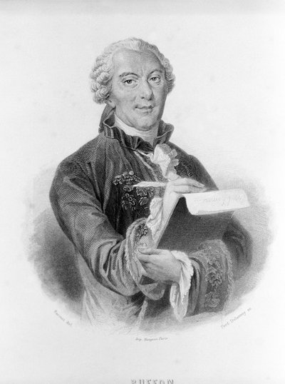 Portrett av Buffon (1707 - 1788), fransk naturforsker og forfatter. av Unknown artist