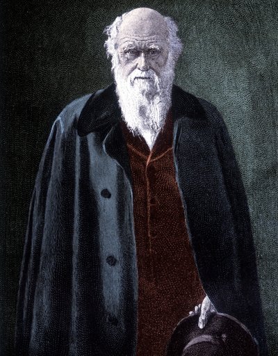 Portrait of Charles Darwin, British naturalist (1809 - 1882) av Unknown artist