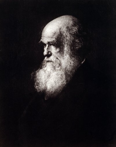 Portrett av Charles Robert Darwin (1809 - 1882) av Unknown artist