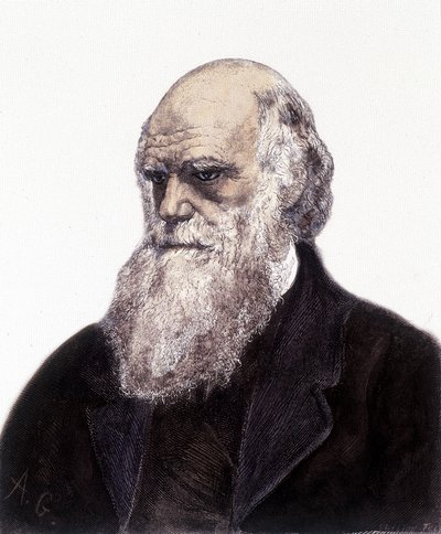 Portrett av Charles Robert Darwin, britisk naturforsker (1809-1882) av Unknown artist