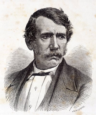 Portrett av David Livingstone, britisk misjonær og oppdagelsesreisende (1813-1873) - i "" Tour du Monde", 2. sem. 1875¿ av Unknown artist