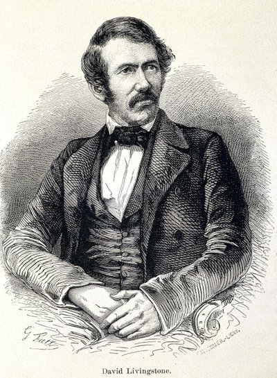 Portrait of David Livingstone, Scottish missionary (1813-1873) av Unknown artist