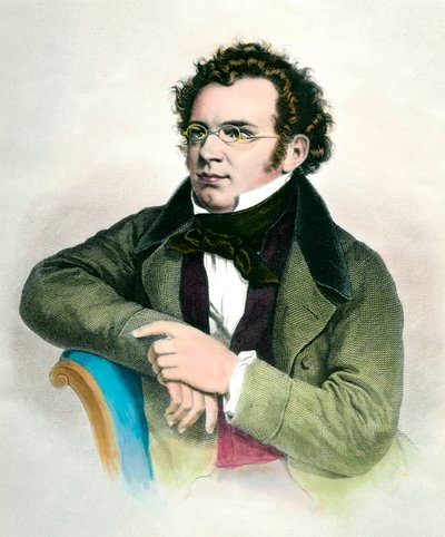 Portrett av Franz Schubert (1797-1828), østerriksk komponist. Gravering fra 1800-tallet. Privat samling av Unknown artist
