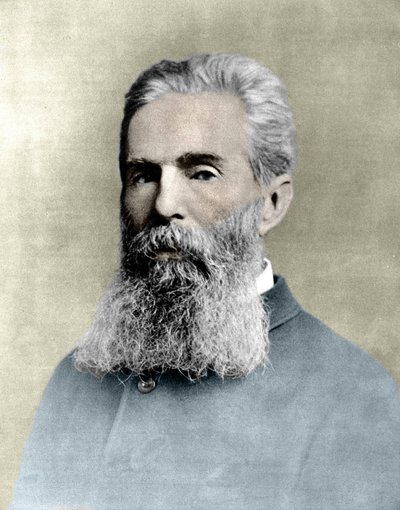 Portrett av Herman Melville (1819 -1891) amerikansk forfatter. av Unknown artist