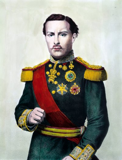 Portrett av Ludvig I av Portugal (1838-1889) Konge av Portugal Gravering av det 19. århundre Privat samling av Unknown artist