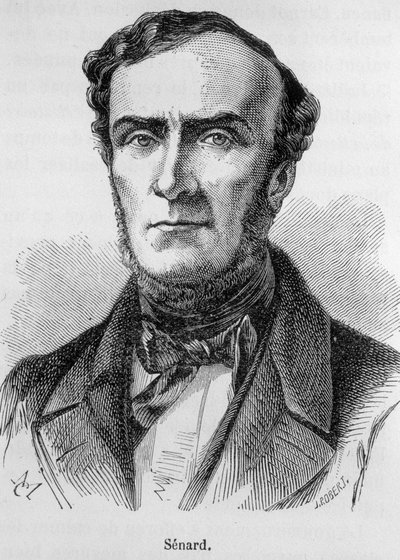 Portrett av Marie Antoine Jules Senard, medlem av Paris Bar, tidligere president for nasjonalforsamlingen og tidligere innenriksminister. Han forsvarte Gustave Flaubert under rettssaken etter Madame Bovarys publisering. Gravering av 1800-tallet. av Unknown artist