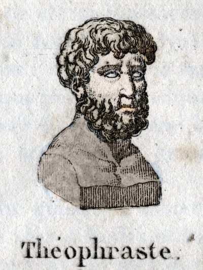 Portrait of Theophraste (372 BC- 287 BC), Greek philosopher. av Unknown artist