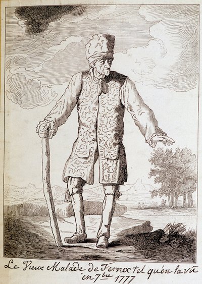Portrett av Voltaire (1694 - 1778), fransk forfatter og filosof, eldre. av Unknown artist