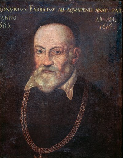 Portrett av banebrytende anatom og kirurg Hieronymus Fabricius (maleri av Unknown artist
