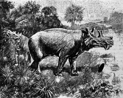 Forhistorie: representasjon av en firhornet Uintatherium-dinosaur. av Unknown artist