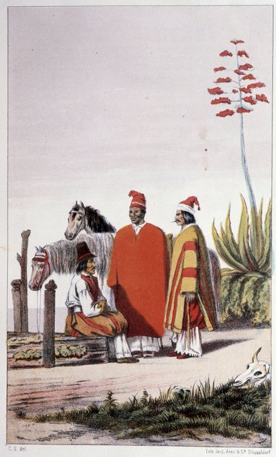 Private og landsmenn, Buenos Aires - i "" Første svenske jordomseiling "" av Skogman Carl Johan Alfred, red. Stockhlom, Adolf Bonnier av Unknown artist