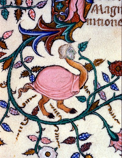 Representasjon av et monster med en strutsekropp og et menneskehode. Miniatyr av et manuskript fra 1300-tallet. Milan, Biblioteca Nazionale Braidense. av Unknown artist