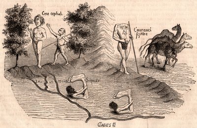 Representasjon av middelalderstammer og dyrearter: Monocules, Blemmys, Sciopodes og kameler av Unknown artist